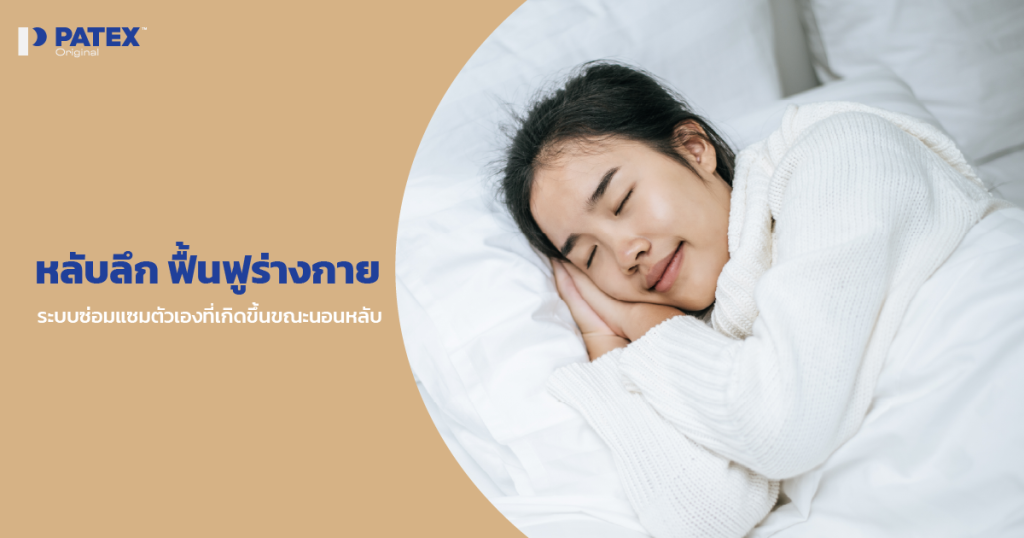 หลับลึก ฟื้นฟูร่างกาย: ระบบซ่อมแซมตัวเองที่เกิดขึ้นขณะนอนหลับ