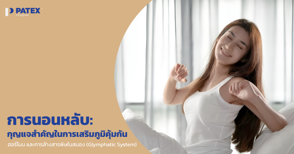 การนอนหลับ: กุญแจสำคัญในการเสริมภูมิคุ้มกัน ฮอร์โมน และการล้างสารพิษในสมอง (Glymphatic System)